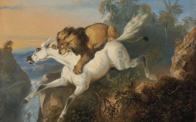 MULTI DIMENSIONAL SELVES & BEING A HORSE!