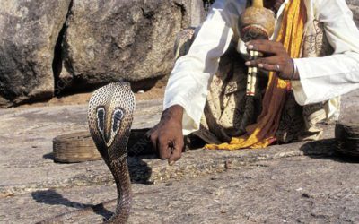 How Many Coincidences Before It Becomes Mathematically Impossible….?