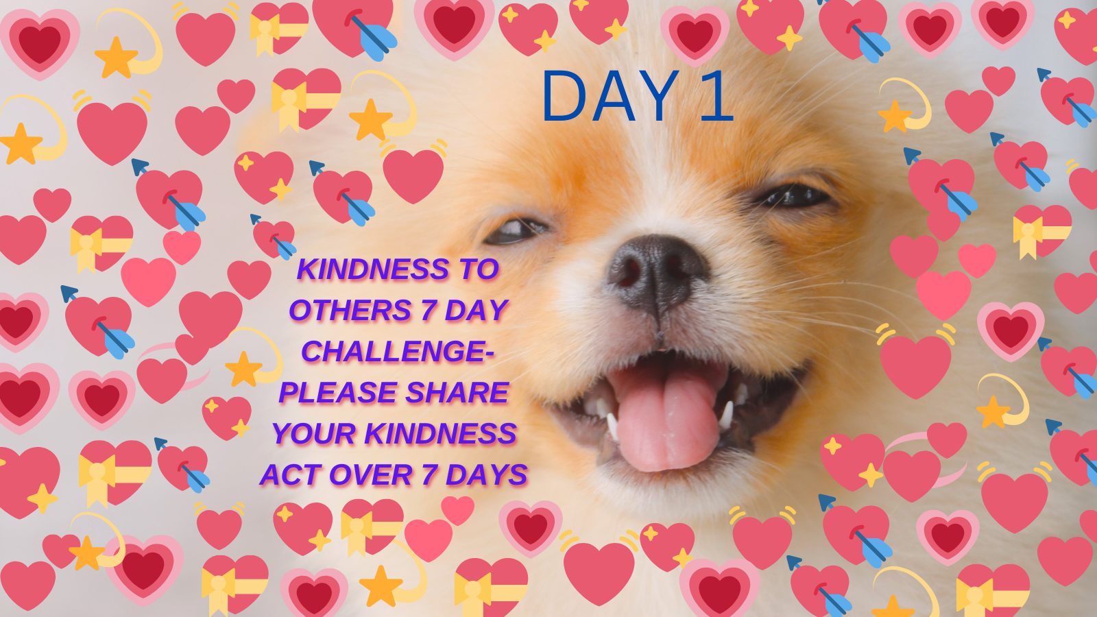 JOIN OUR KINDNESS CHALLENGE ON PATREON
