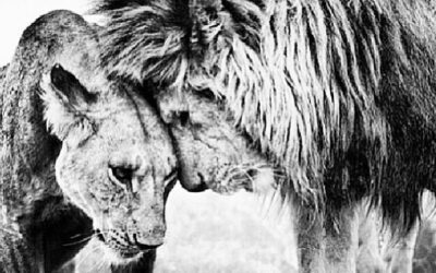 WOW!!! LAUNCHING SOON