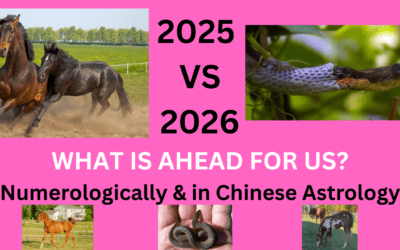WHAT CAN WE EXPECT IN 2026?