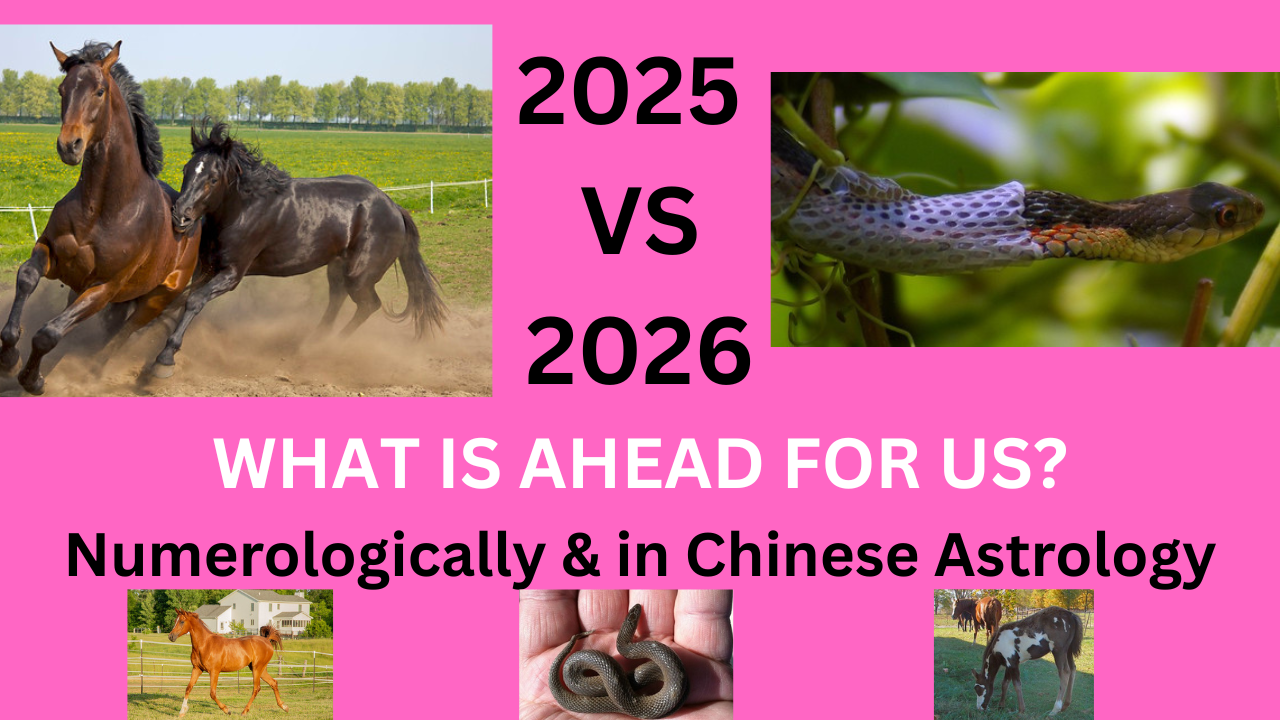 WHAT CAN WE EXPECT IN 2026?